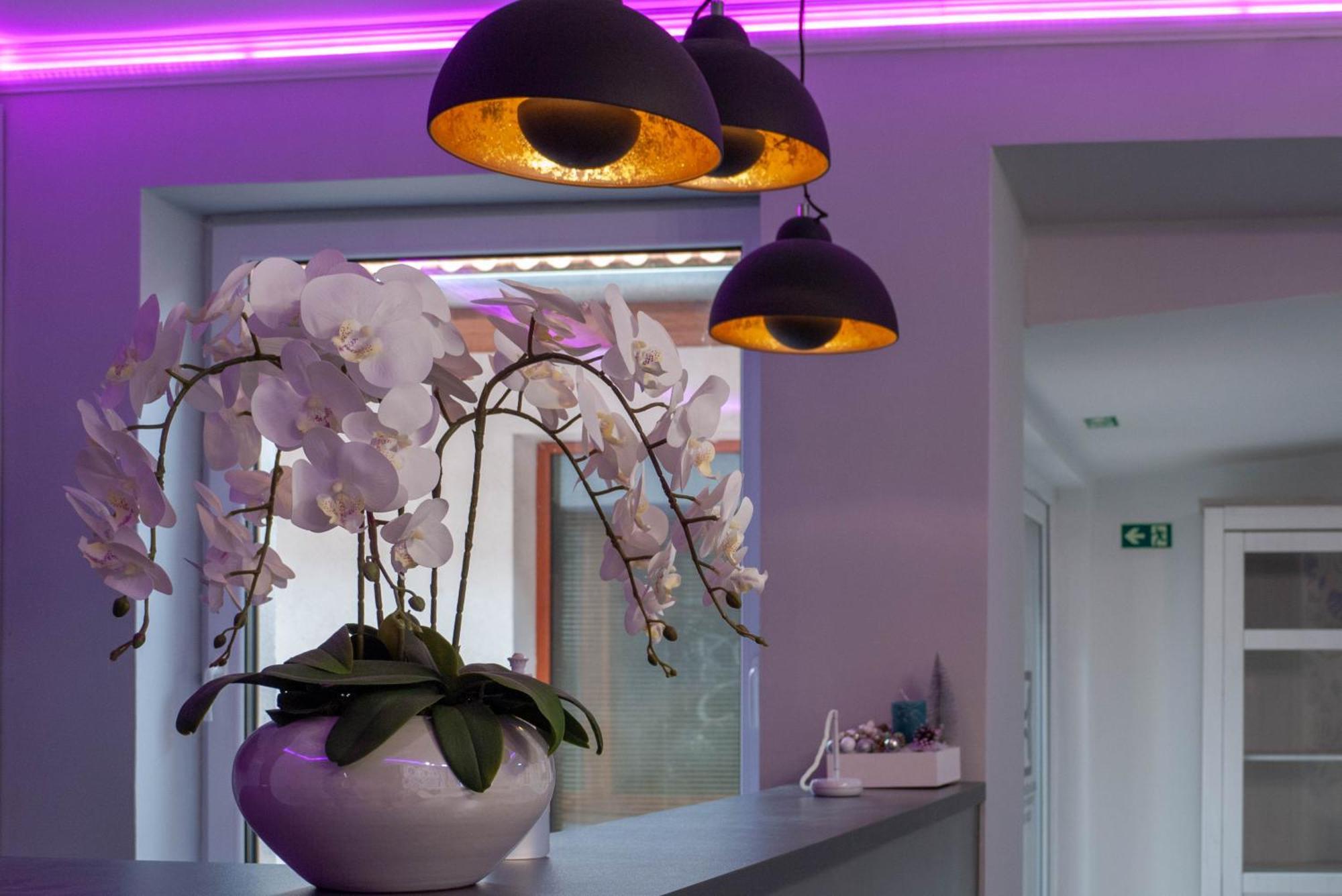 Bornemisza Kuria Wellness Resort Tiszabecs 외부 사진